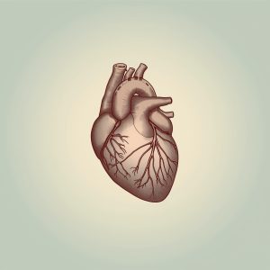 Jantung Kuat Sejak Muda: Panduan Kesehatan Jantung