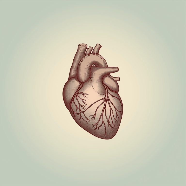 Jantung Kuat Sejak Muda: Panduan Kesehatan Jantung